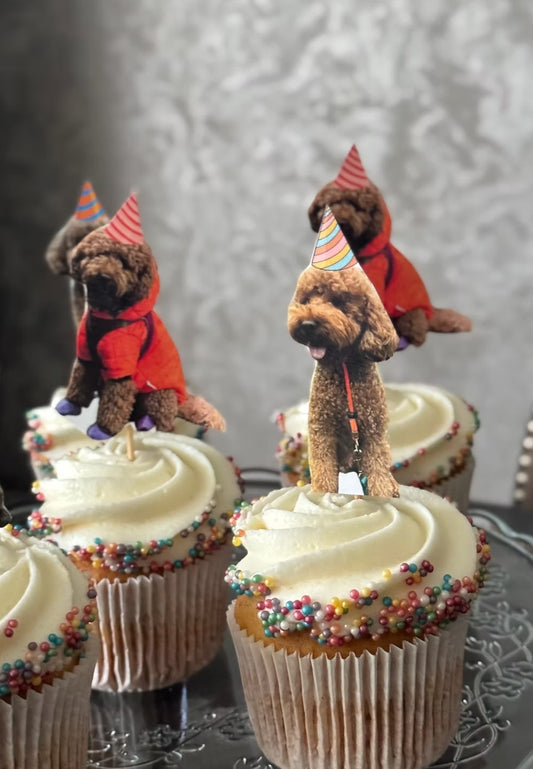 Köpekler İçin Kemik Süslemeli Pasta