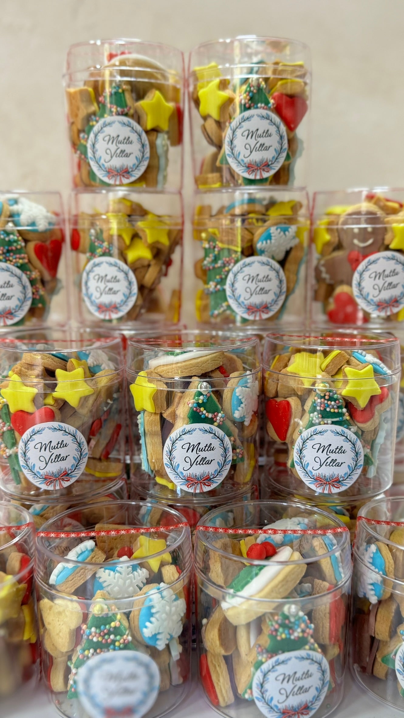 Yılbaşı Paketli Kurabiye
