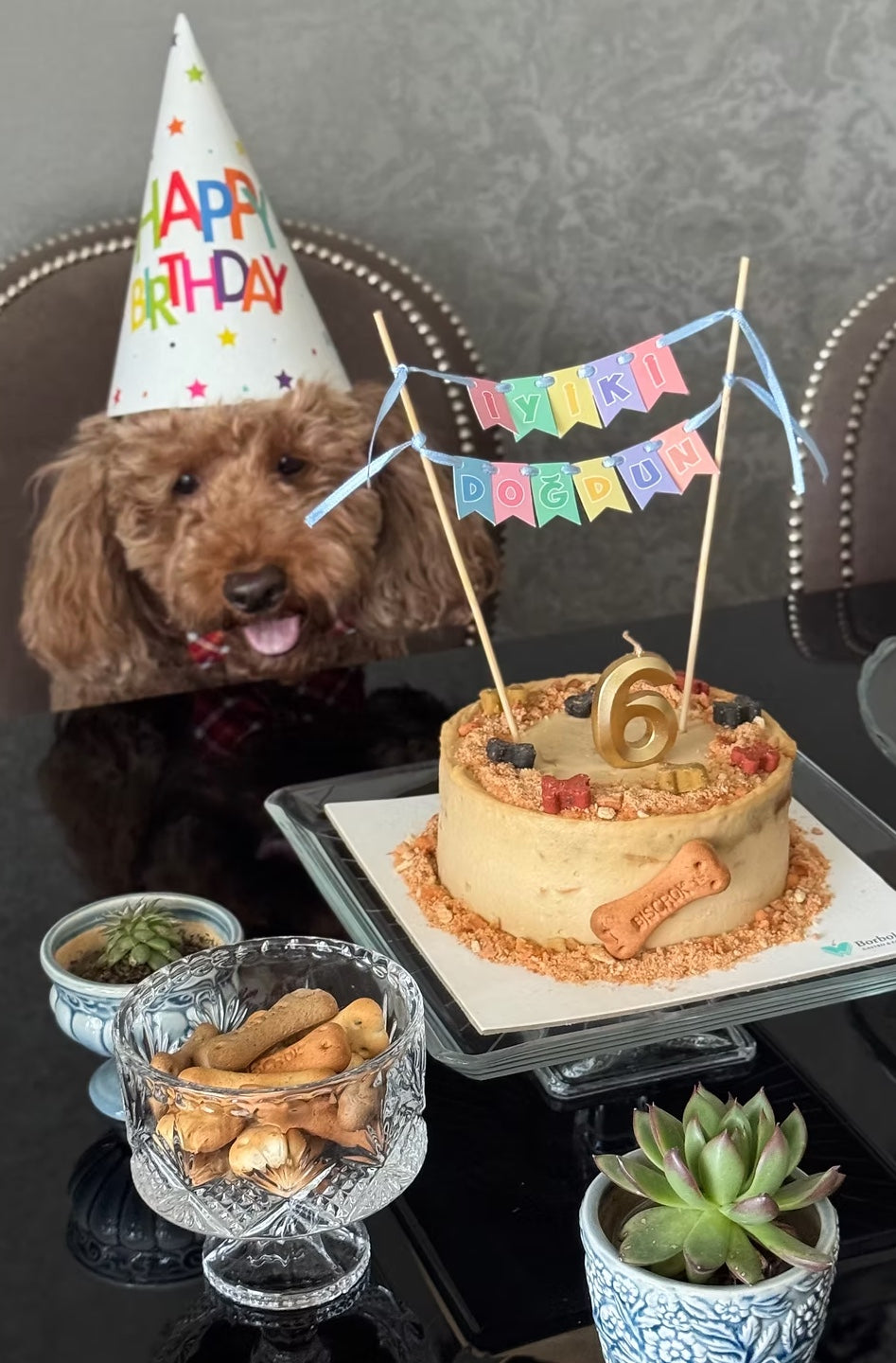 Köpekler İçin Kemik Süslemeli Pasta