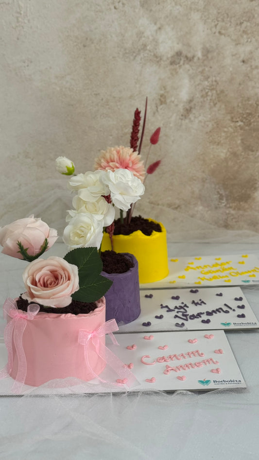 Saksıda Çiçek Anneler Günü Pasta