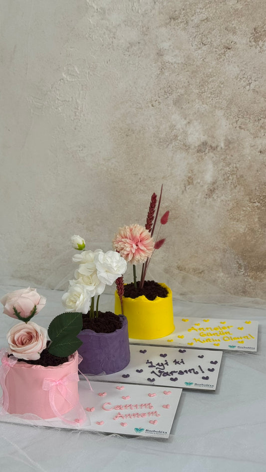 Saksıda Çiçek Anneler Günü Pasta